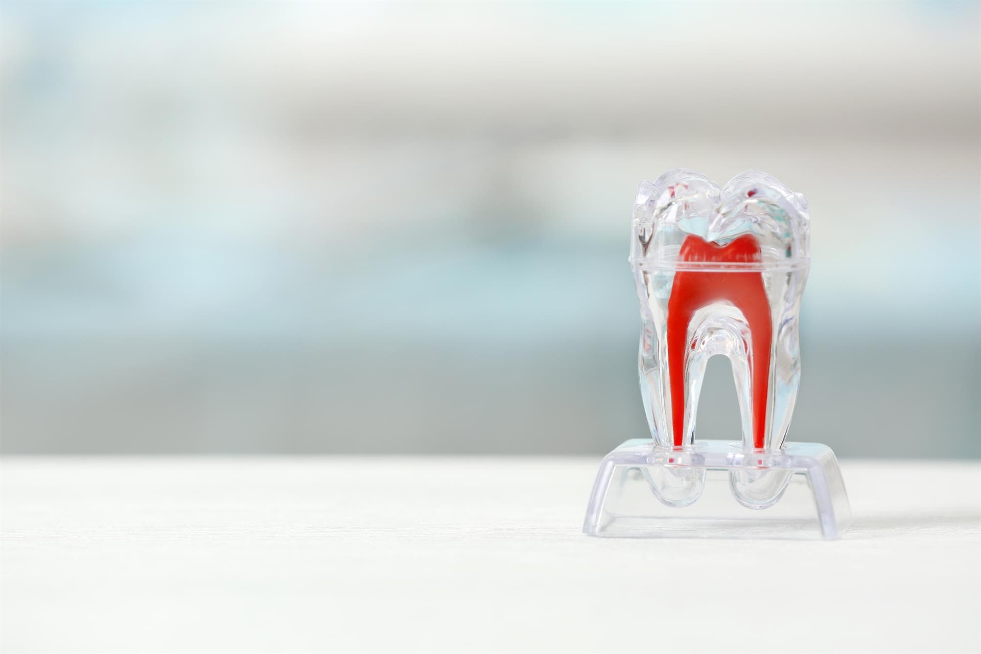 Centro Odontológico Dentine - ¿Qué es la endodoncia?